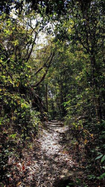 Bach Ma Nationalpark Path