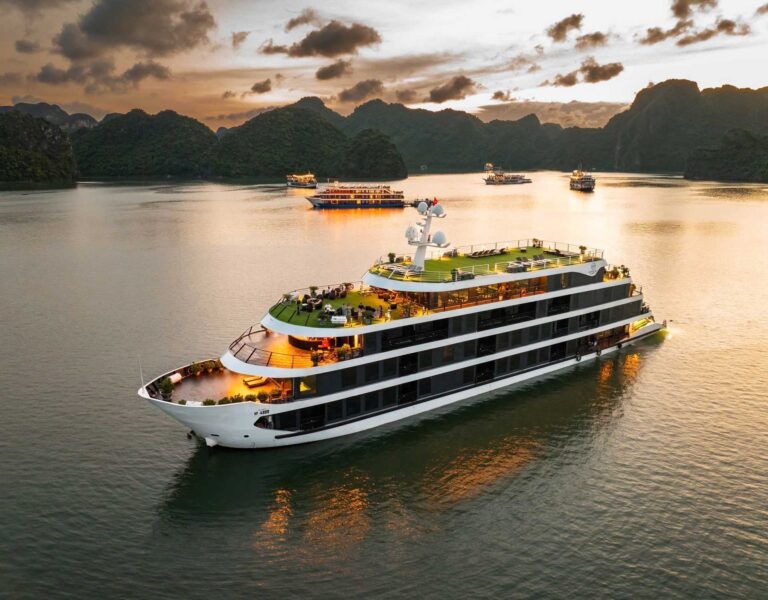 VENUS CRUISE