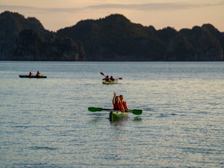 Cycad Cruise Kayak