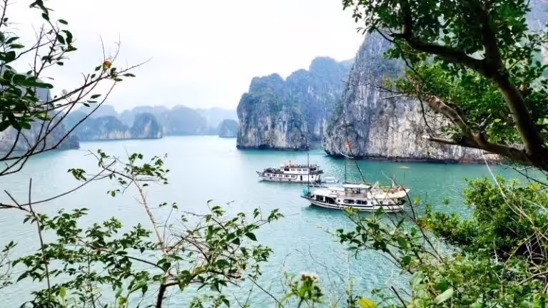 Bhaya Cruise Bai Tu Long Bucht